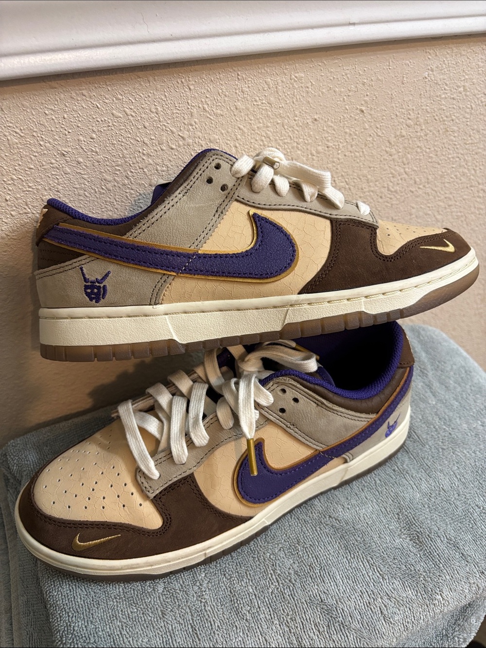Nike Men’s Low-Top Sneakers in Brown, Cream & Purple